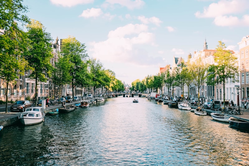 A tree-lined canal in Amsterdam